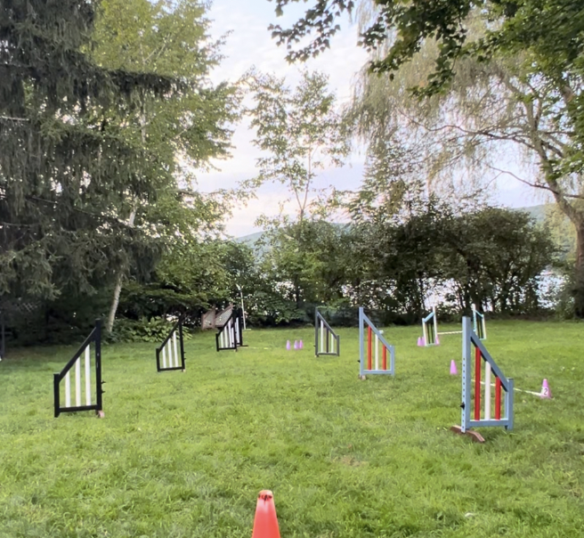 Screenshot 2025 09 18 at 10.39.01 AM