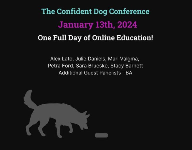 https://www.fenzidogsportsacademy.com/images/Admin_Conferences/Confident_Dog.png