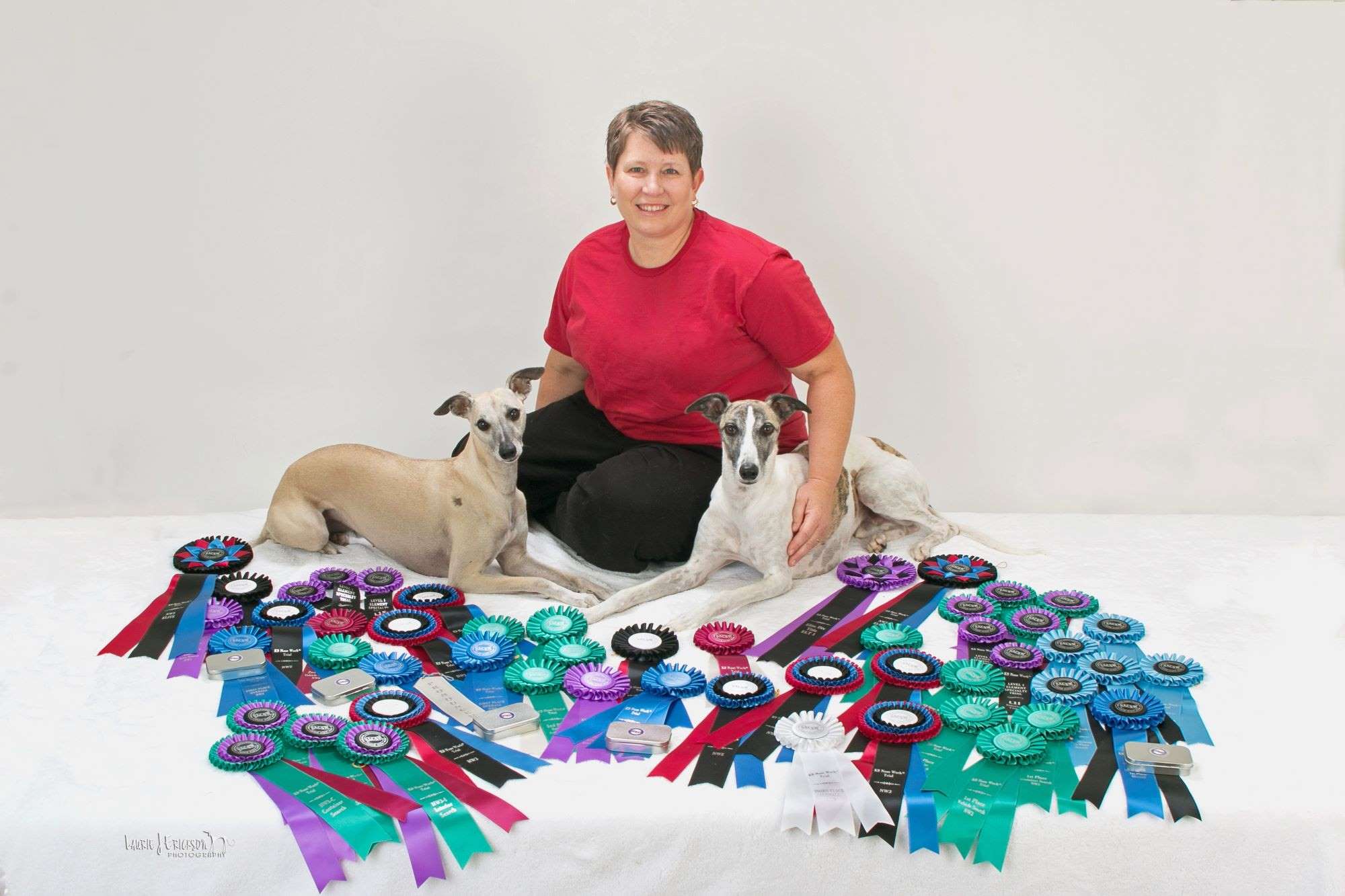 Woman with short brown hair wearing a red shirt and black pants posing with two whippet dogs and numerous ribbons