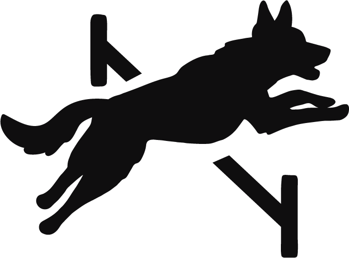 FDSA Logo Dog Jumping
