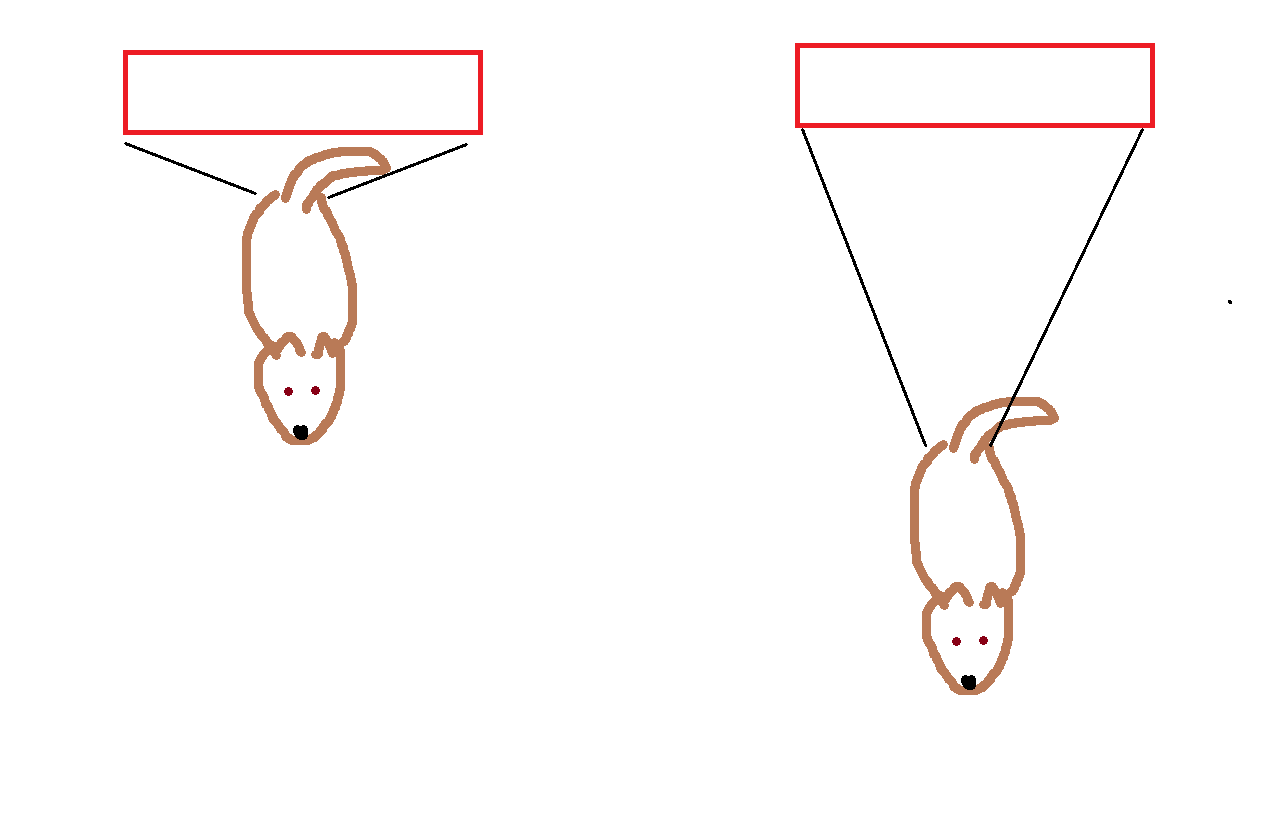 picture showing a dog very close to the wide target and about 2 body lengths away from the wide target. the angle on the 1st picture is quite large showing how crooked the dog can be before missing the target. the angle on the 2nd picture is narrower before the dog misses the target.