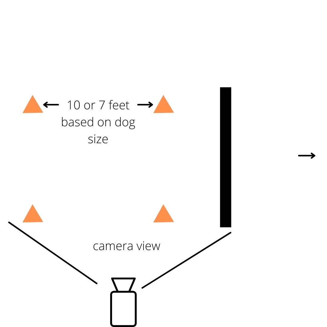 A diagram showing the set up for the Take Off Striding Exercise. Four cones are set in a square either 10 or 7 feet apart depending on the dog's size. A jump obstacle is set up half a stride beyond the rightmost edge of the cone square. An arrow indicates direction of travel and that the toy will be placed several strides beyond the jump. A camera icon at the bottom of the diagram looks upwards, showing a side view that needs to include the cone square as well as the jump.