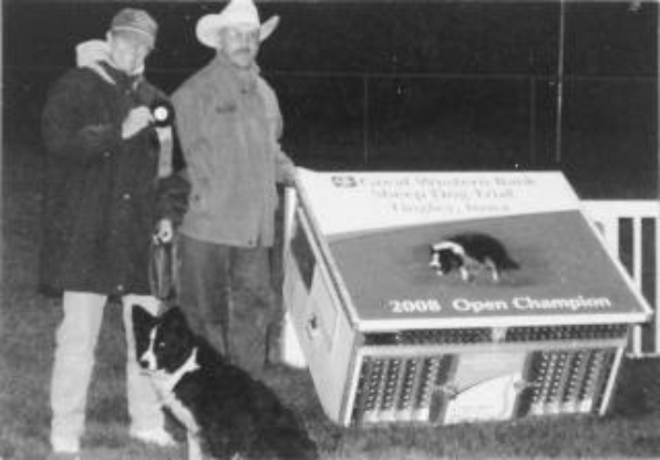 Herding Ball for Small Dog & Puppies - Race and Herd